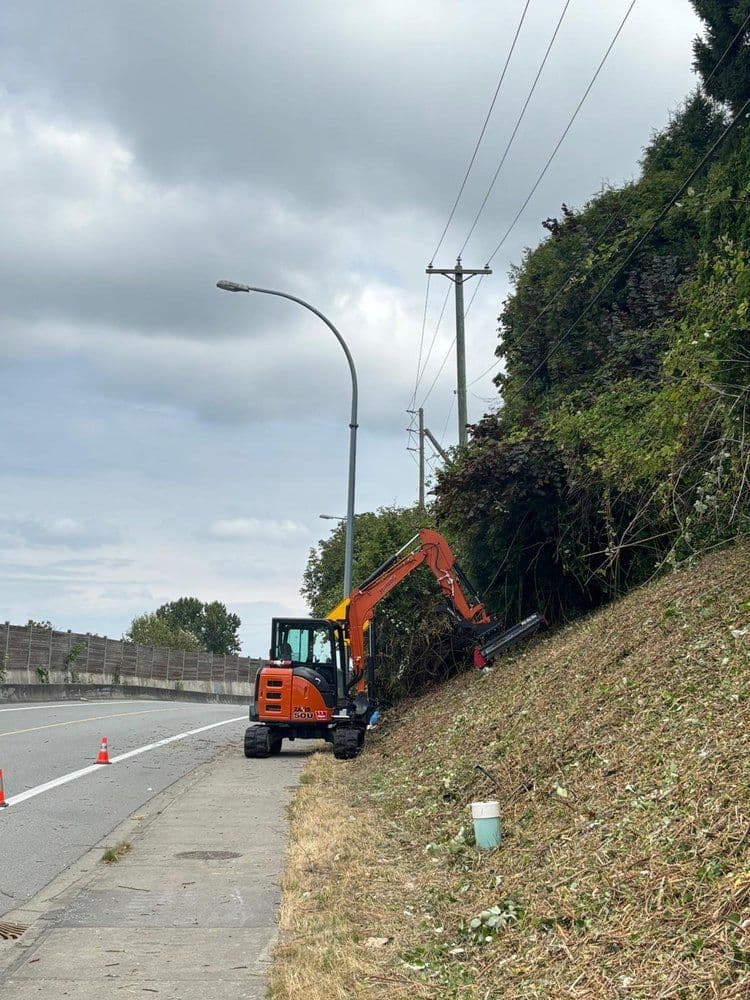 Excavator clearing brush along a roadside under overcast skies. Safety cones visible.