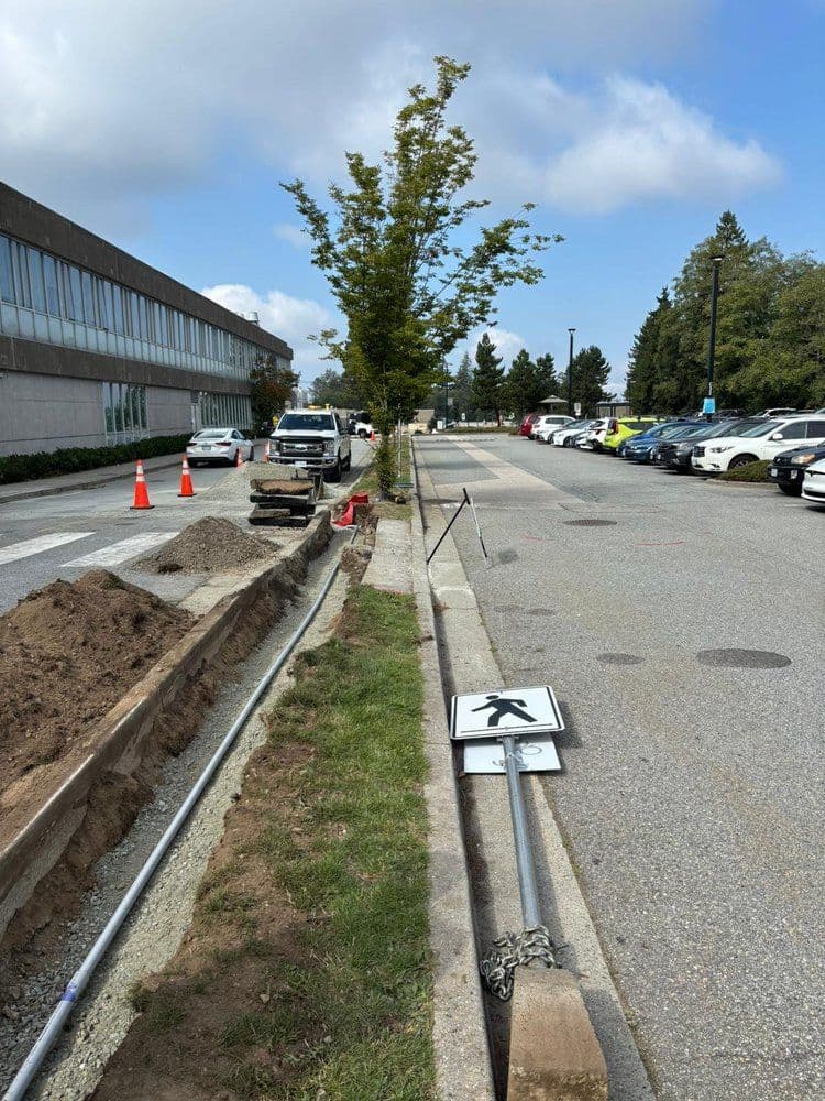 Construction area along a street with a tree, signs, and parked cars in the background.