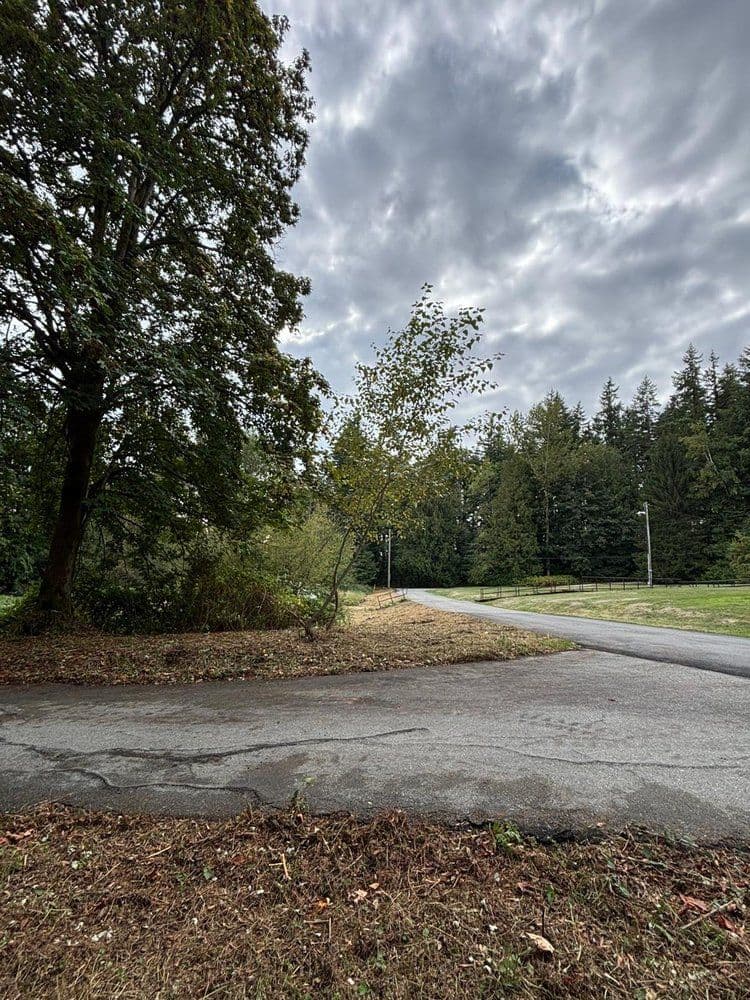 Tree-lined road under cloudy skies with grassy areas and distant wooded backdrop.