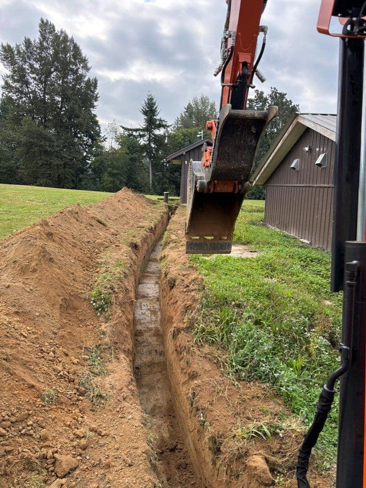Excavator digging a trench in a yard, surrounded by trees and buildings.