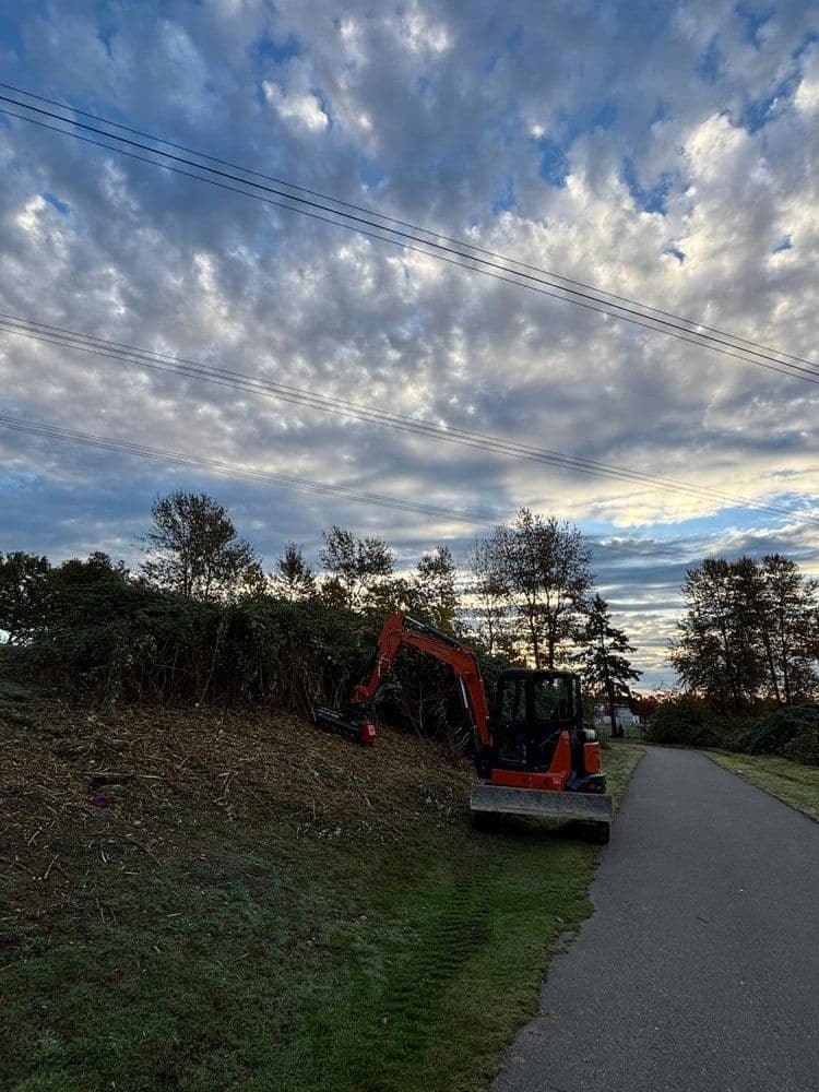 Excavator clearing brush along a pathway under a dramatic sky with scattered clouds.