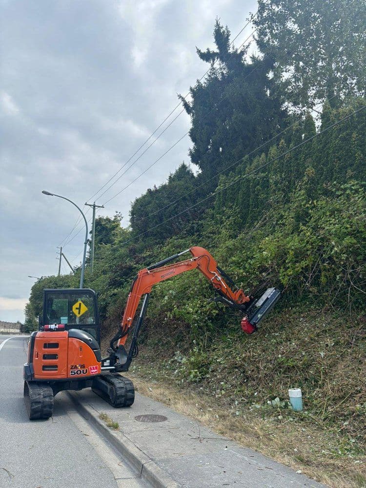 Compact excavator trimming overgrown vegetation alongside a roadway.