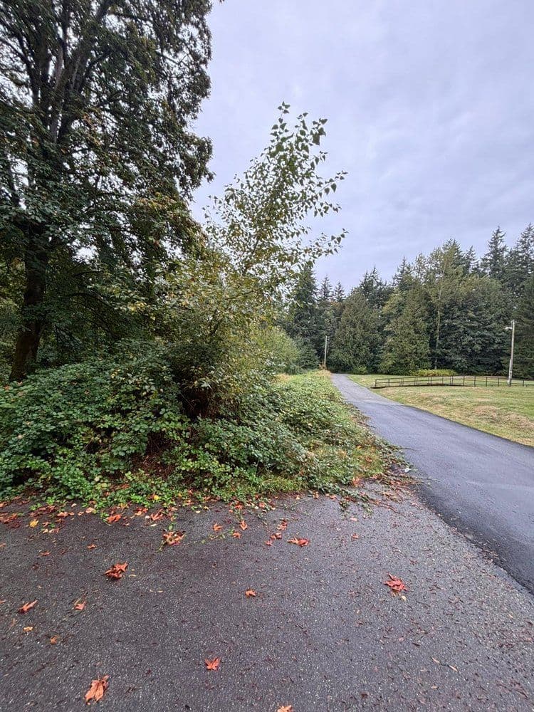 Roadside view featuring greenery, gravel path, and trees under a gray sky.