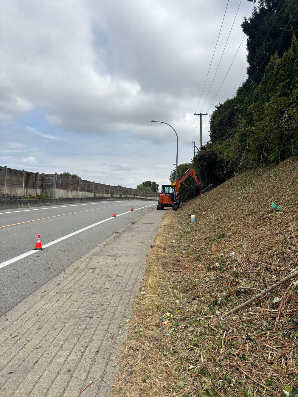 Excavator clearing brush along a roadside with traffic cones and cloudy sky backdrop.