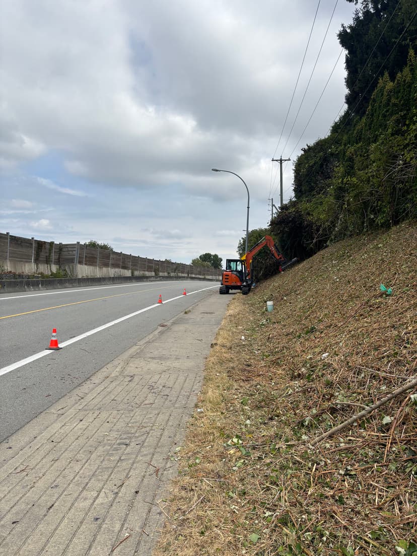 Excavator working on roadside vegetation removal near highway with traffic cones visible.
