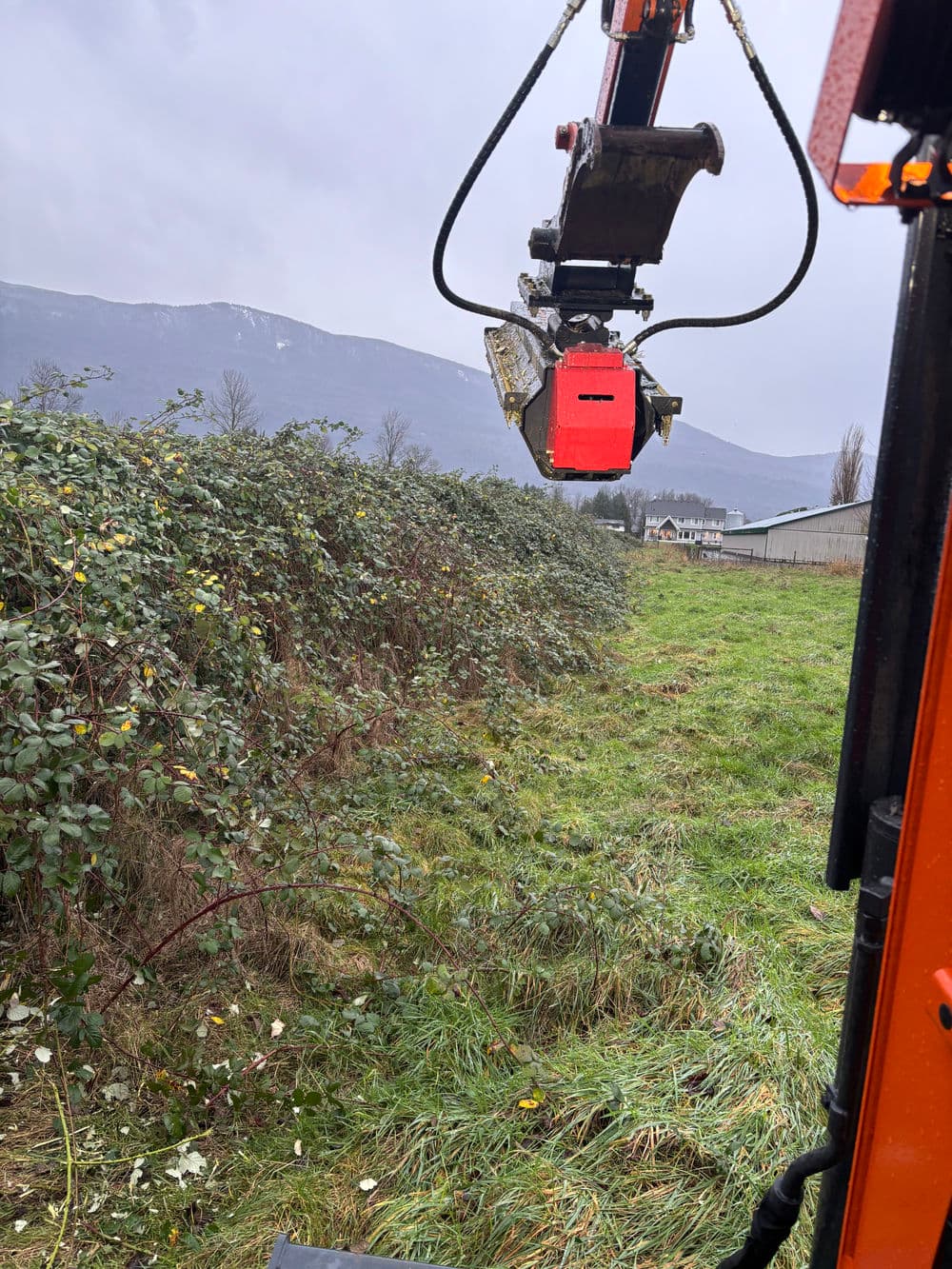 Machinery cutting through overgrown bushes in a rural landscape with mountains in background.