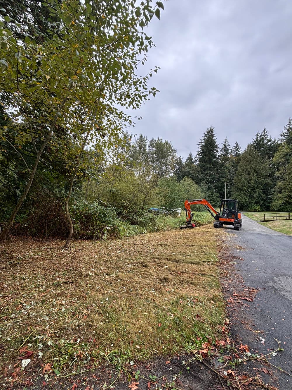 Excavator clearing brush along a rural road with trees in the background on a cloudy day.