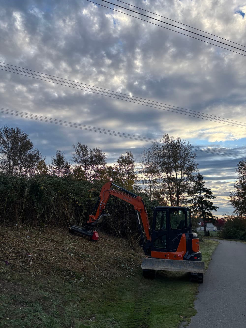 Excavator clearing brush along a path under a cloudy sky.