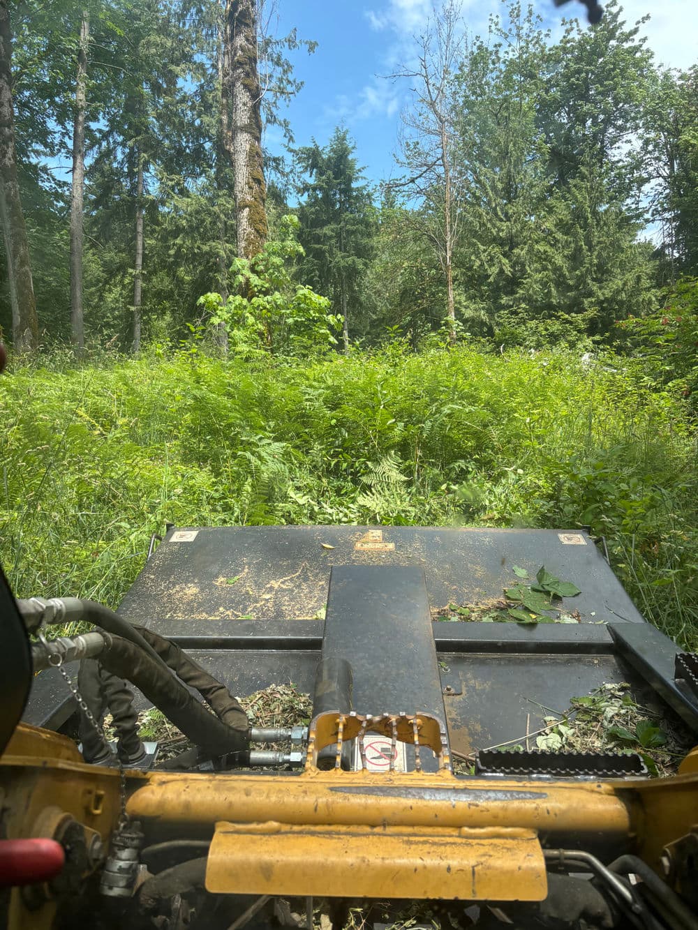 View from a machine cutting through lush greenery in a forested area.