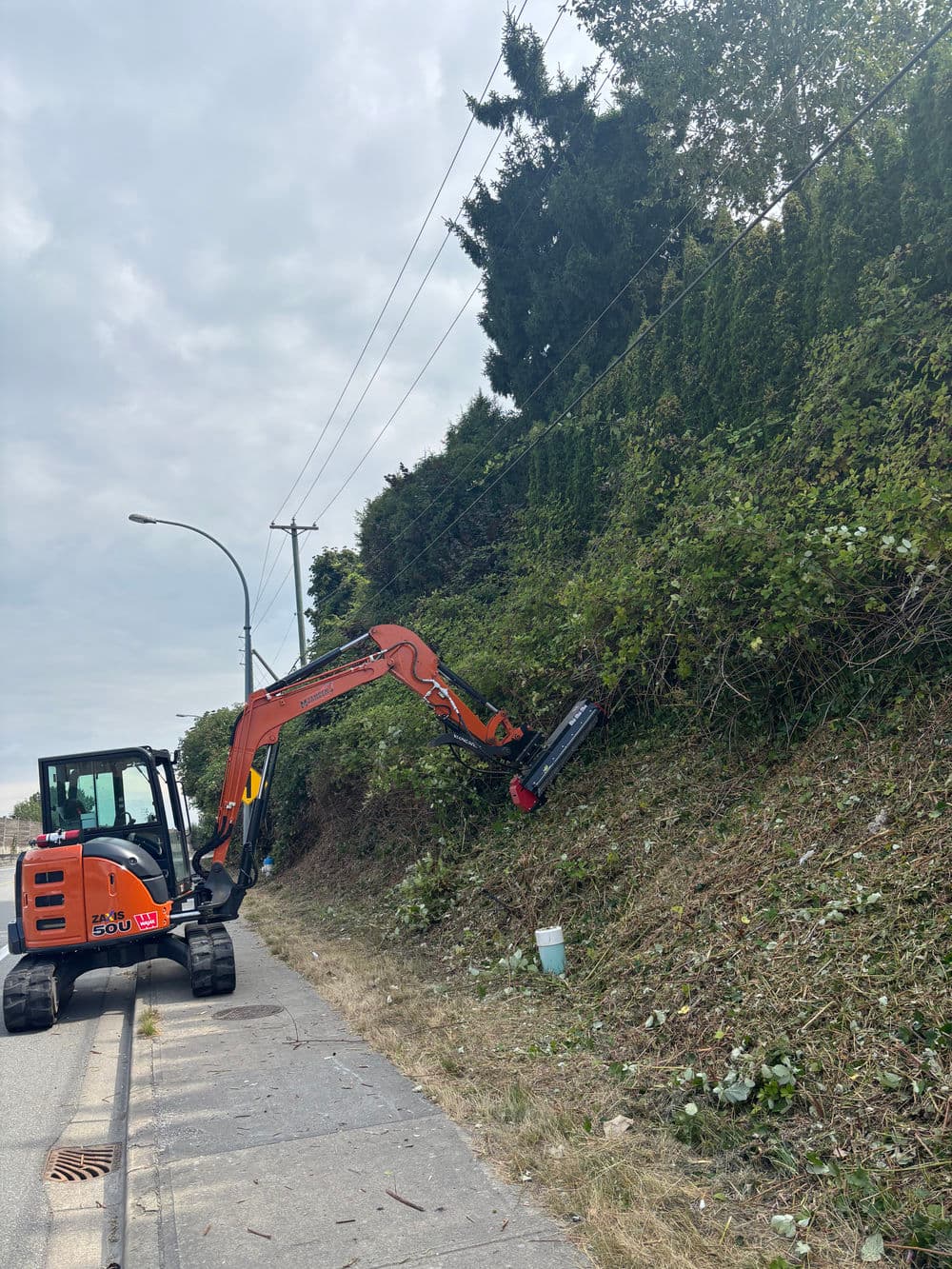 Excavator clearing brush along a roadside with power lines above and cloudy sky.